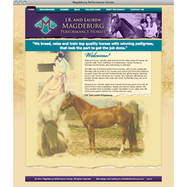 Web design web development content management drupal horses broodmares weinlings yearlings foals racing horses race barrel racing roping Oklahoma